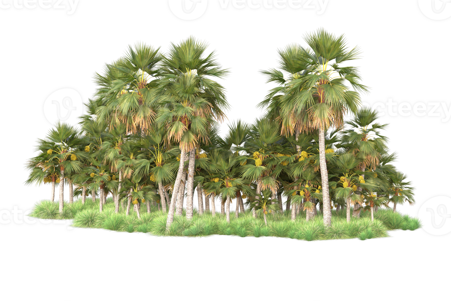 Tropical forest isolated on transparent background. 3d rendering - illustration png