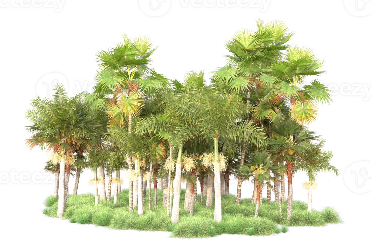 Tropical forest isolated on transparent background. 3d rendering - illustration png