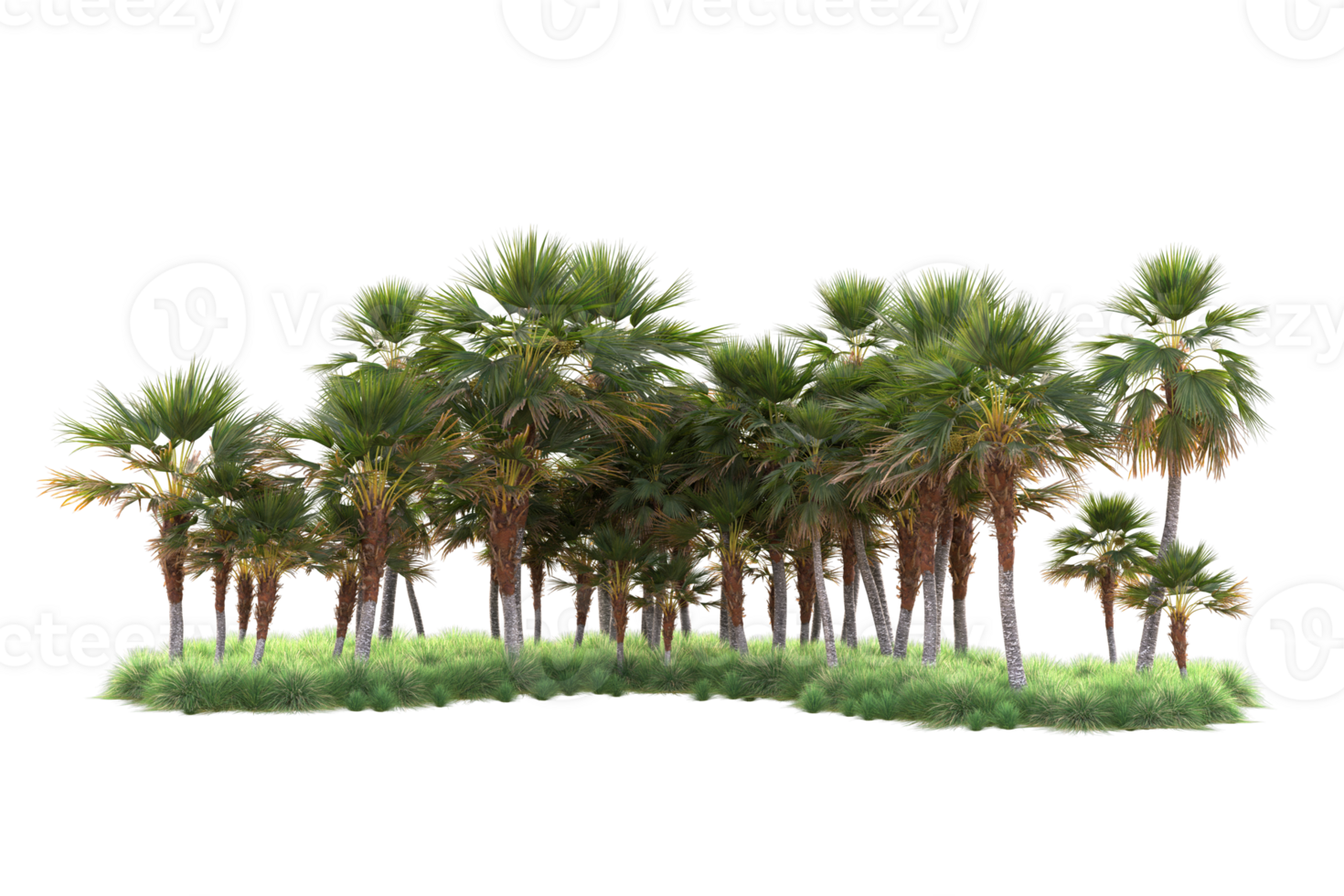 Tropical forest isolated on transparent background. 3d rendering - illustration png