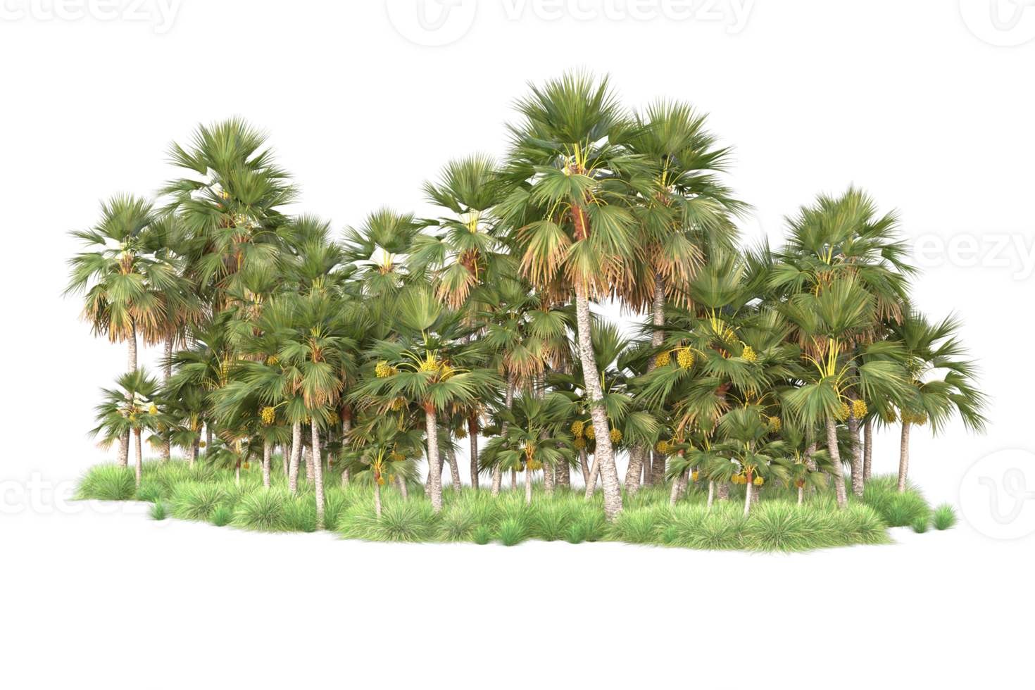 Tropical forest isolated on transparent background. 3d rendering - illustration png