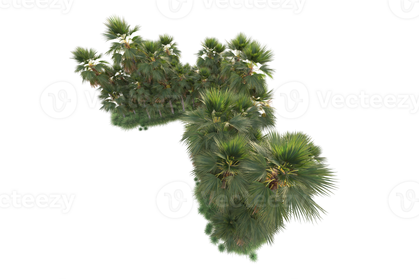 Tropical forest isolated on transparent background. 3d rendering - illustration png