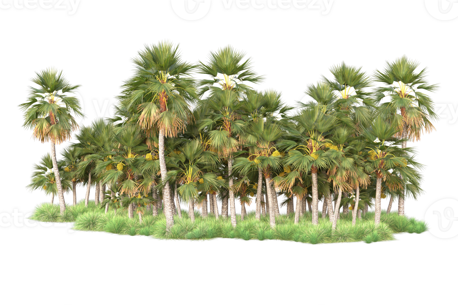 Tropical forest isolated on transparent background. 3d rendering - illustration png