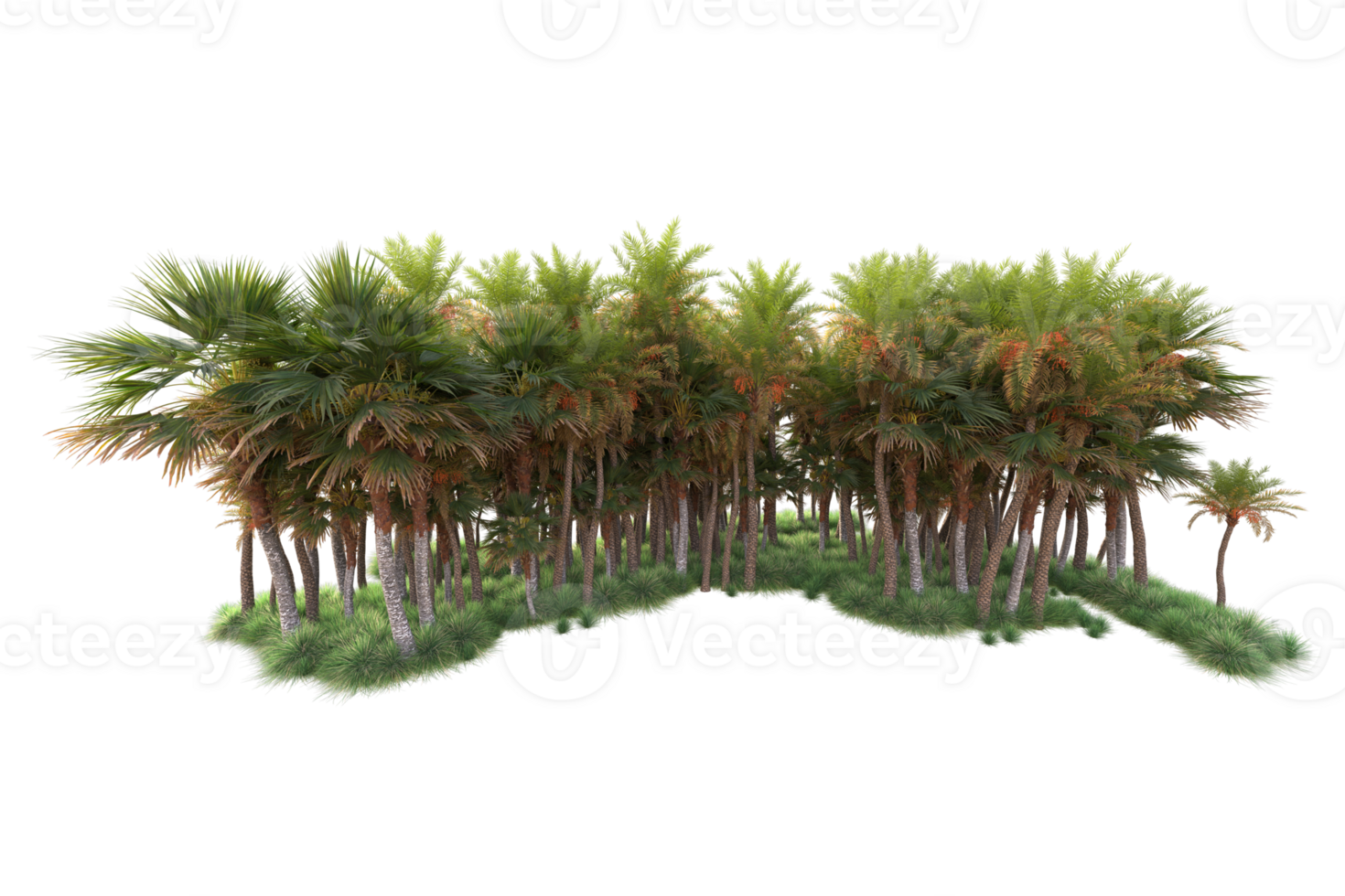 Tropical forest isolated on transparent background. 3d rendering - illustration png