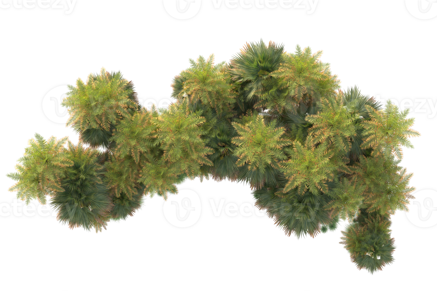 Tropical forest isolated on transparent background. 3d rendering - illustration png