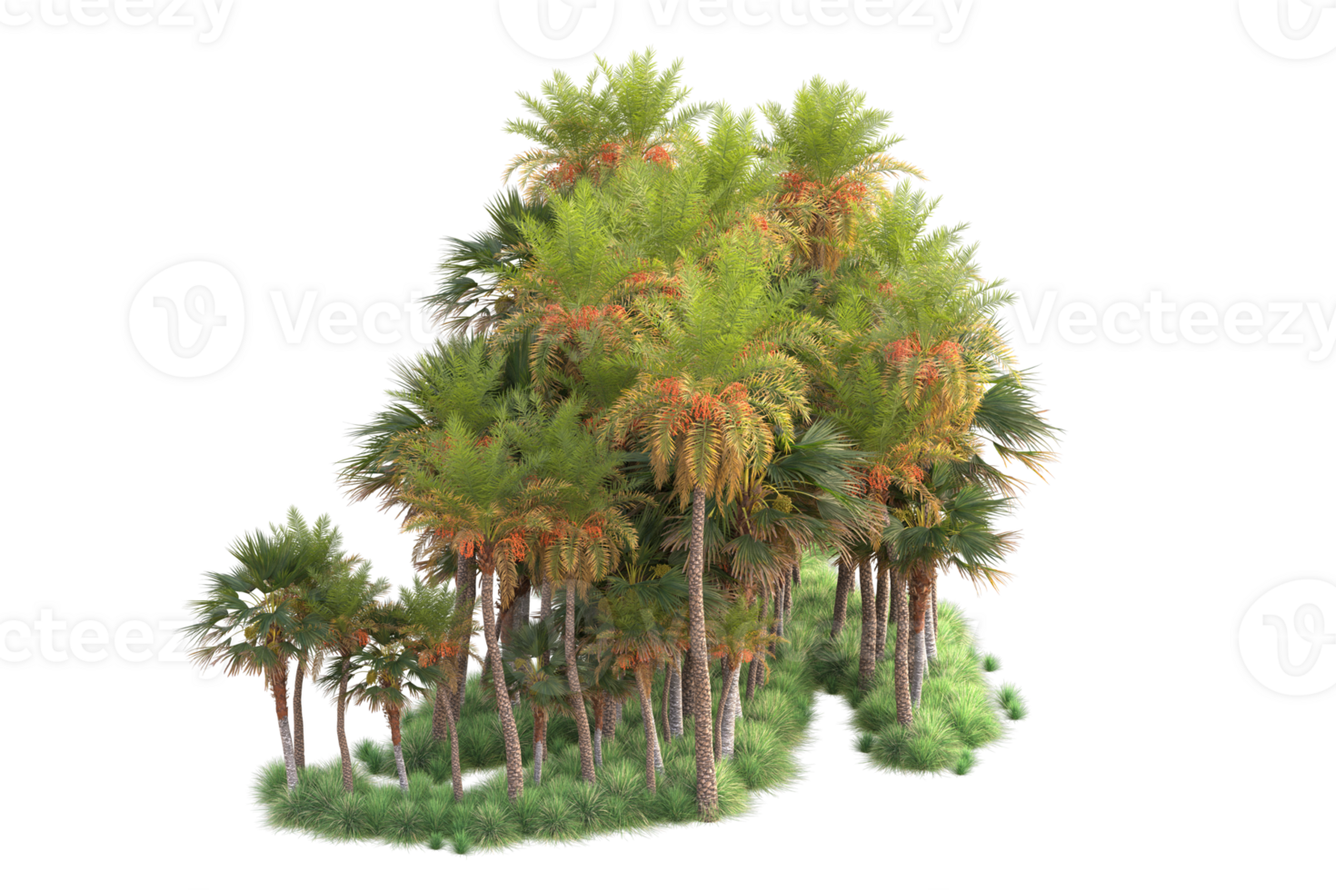 Tropical forest isolated on transparent background. 3d rendering - illustration png