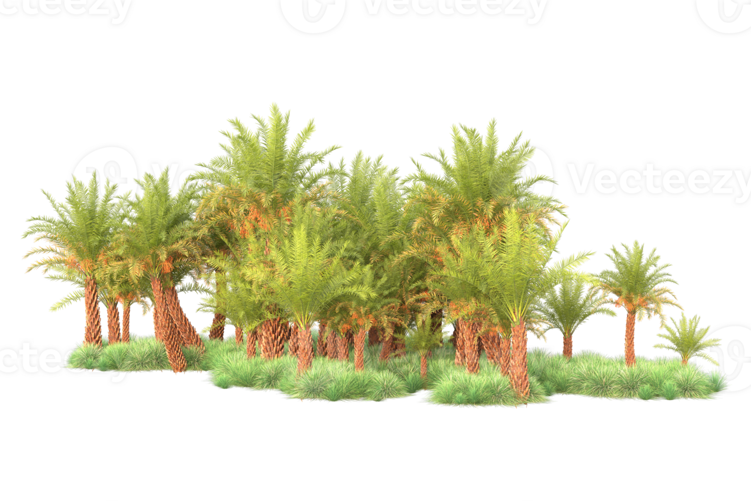 Tropical forest isolated on transparent background. 3d rendering - illustration png