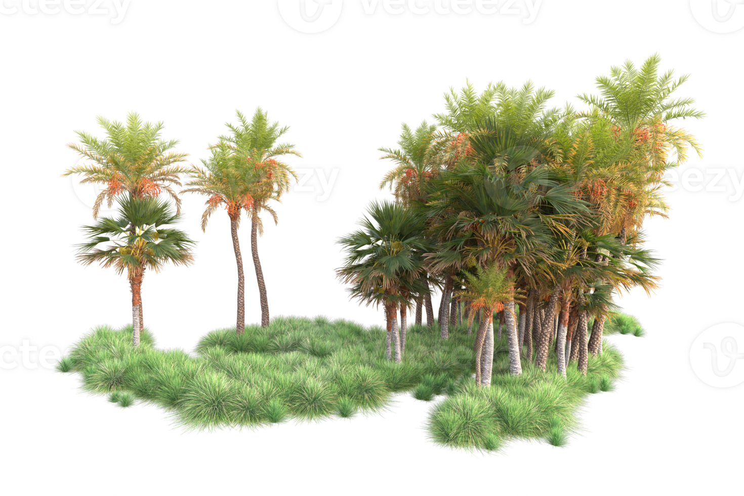 Tropical forest isolated on transparent background. 3d rendering - illustration png