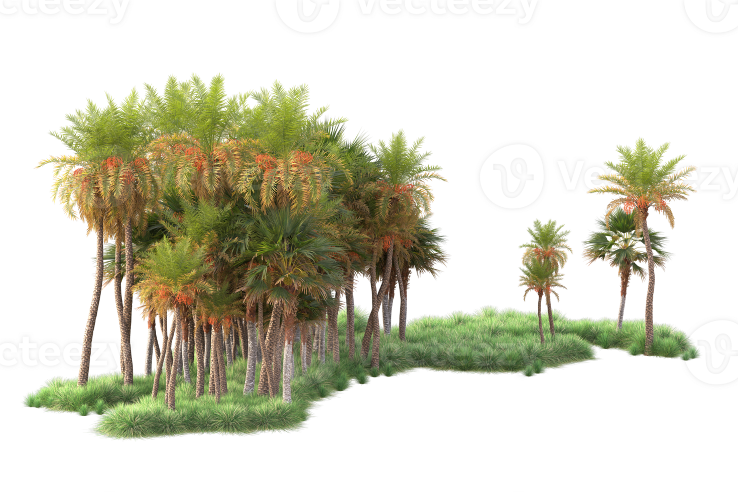 Tropical forest isolated on transparent background. 3d rendering - illustration png
