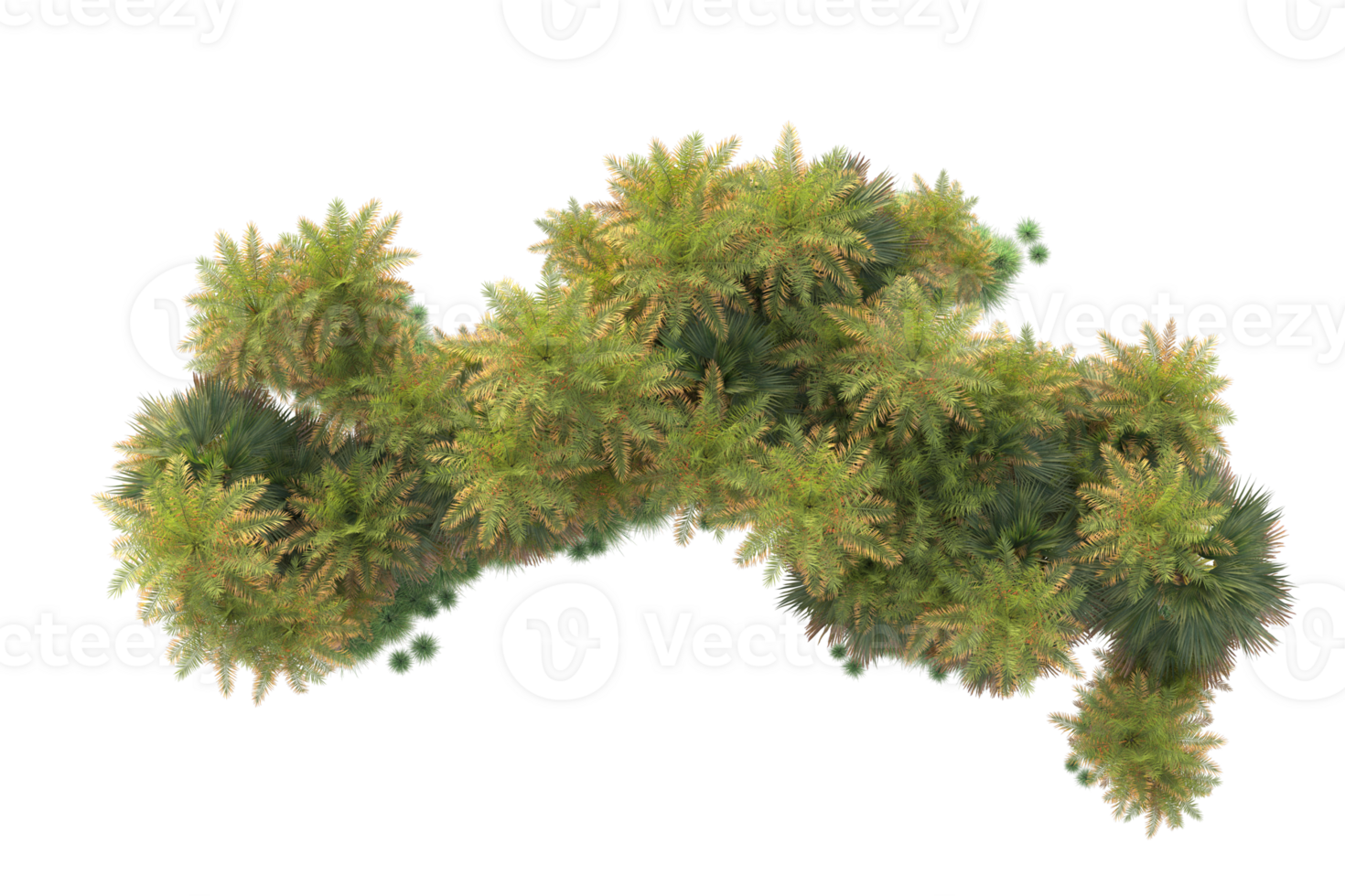 Tropical forest isolated on transparent background. 3d rendering - illustration png