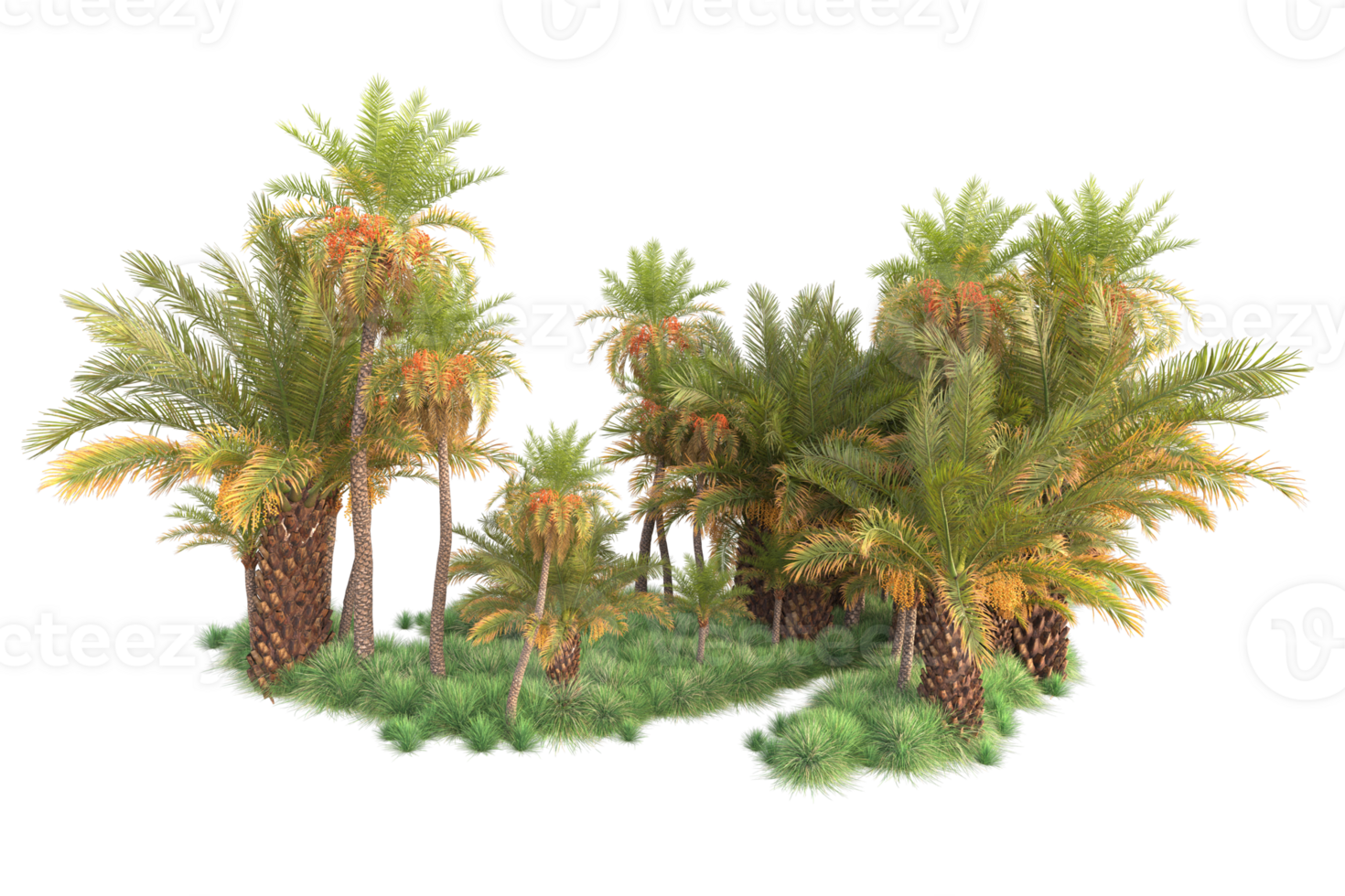 Tropical forest isolated on transparent background. 3d rendering - illustration png
