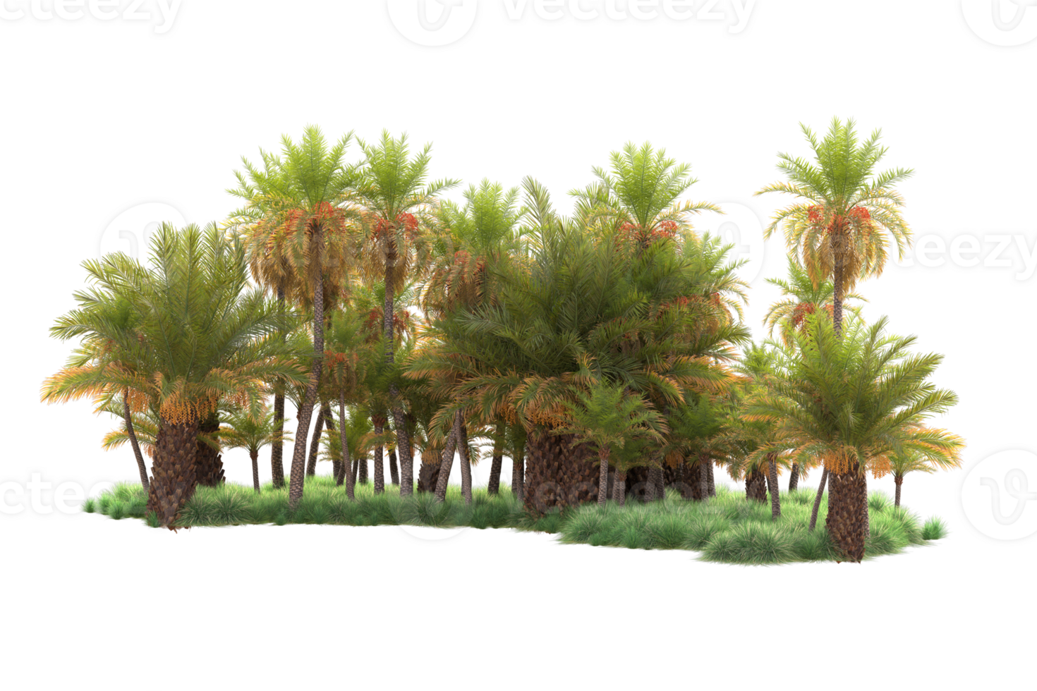 Tropical forest isolated on transparent background. 3d rendering - illustration png