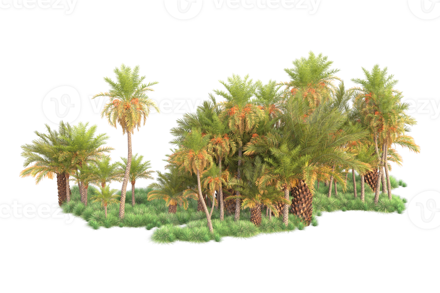 Tropical forest isolated on transparent background. 3d rendering - illustration png