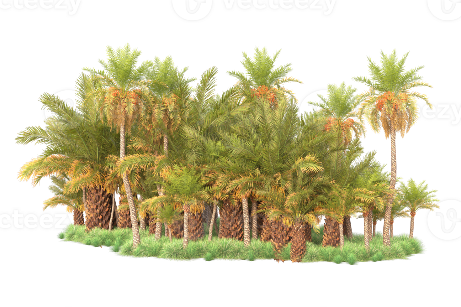 Tropical forest isolated on transparent background. 3d rendering - illustration png