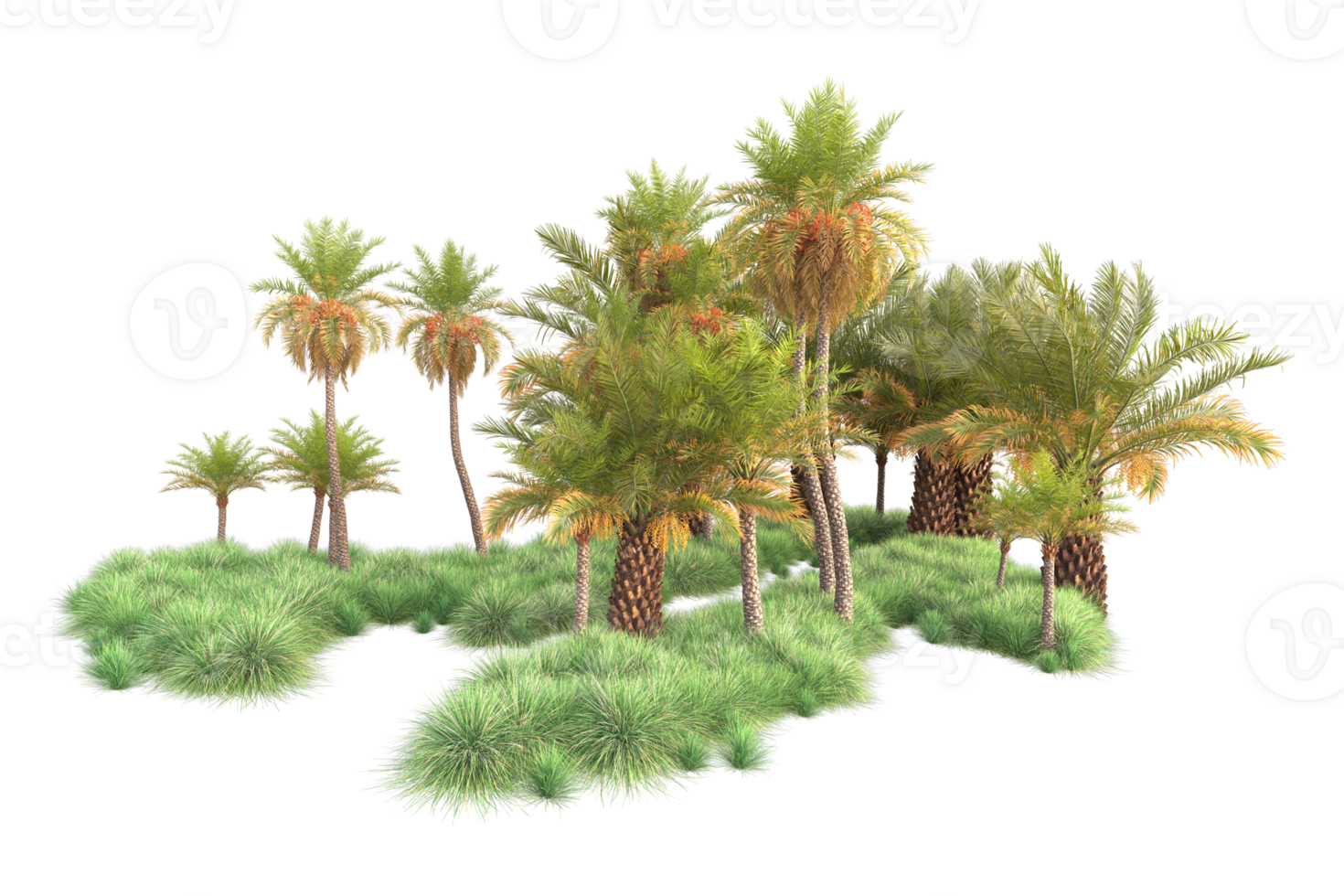 Tropical forest isolated on transparent background. 3d rendering - illustration png
