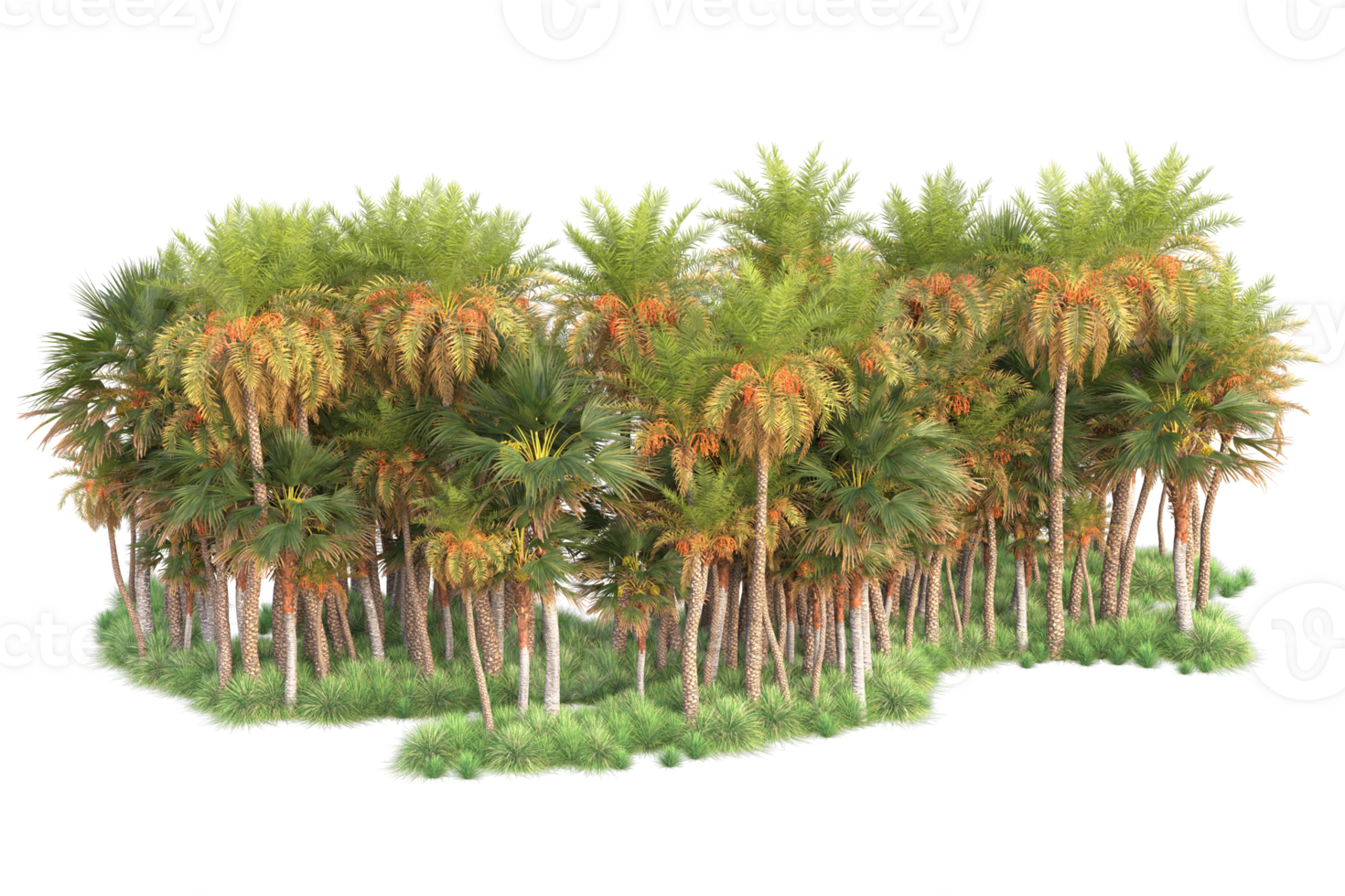 Tropical forest isolated on transparent background. 3d rendering - illustration png