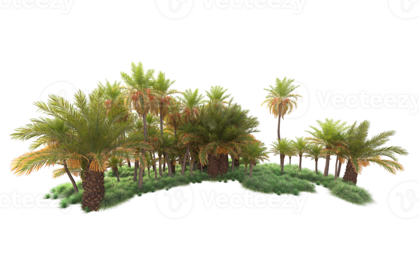Tropical forest isolated on transparent background. 3d rendering - illustration png