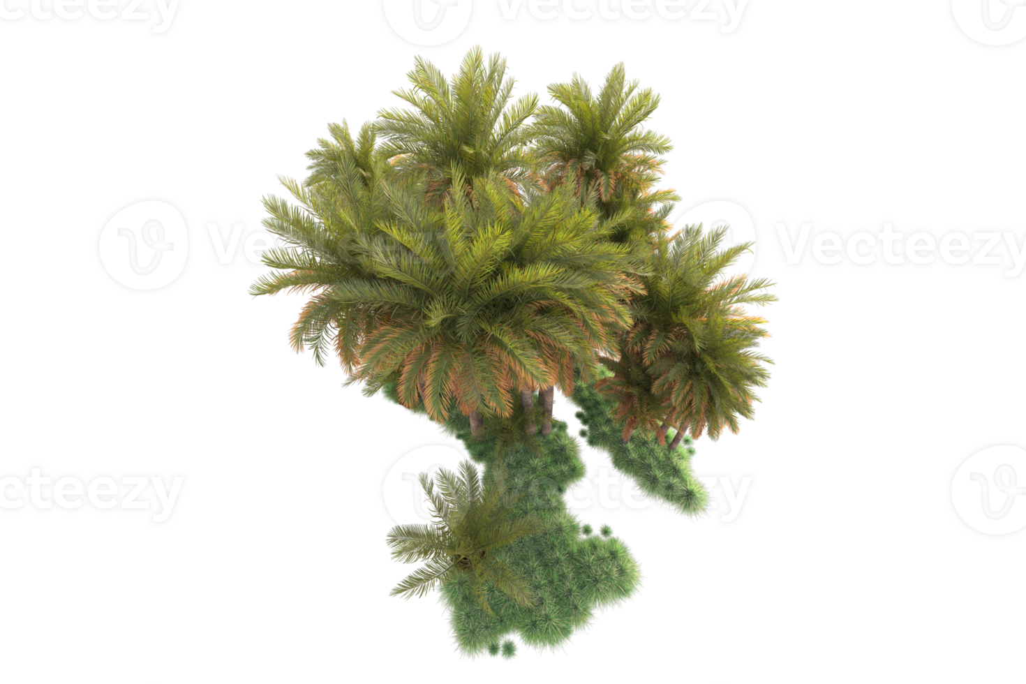 Tropical forest isolated on transparent background. 3d rendering - illustration png
