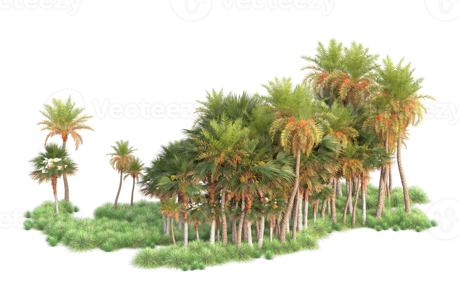 Tropical forest isolated on transparent background. 3d rendering - illustration png