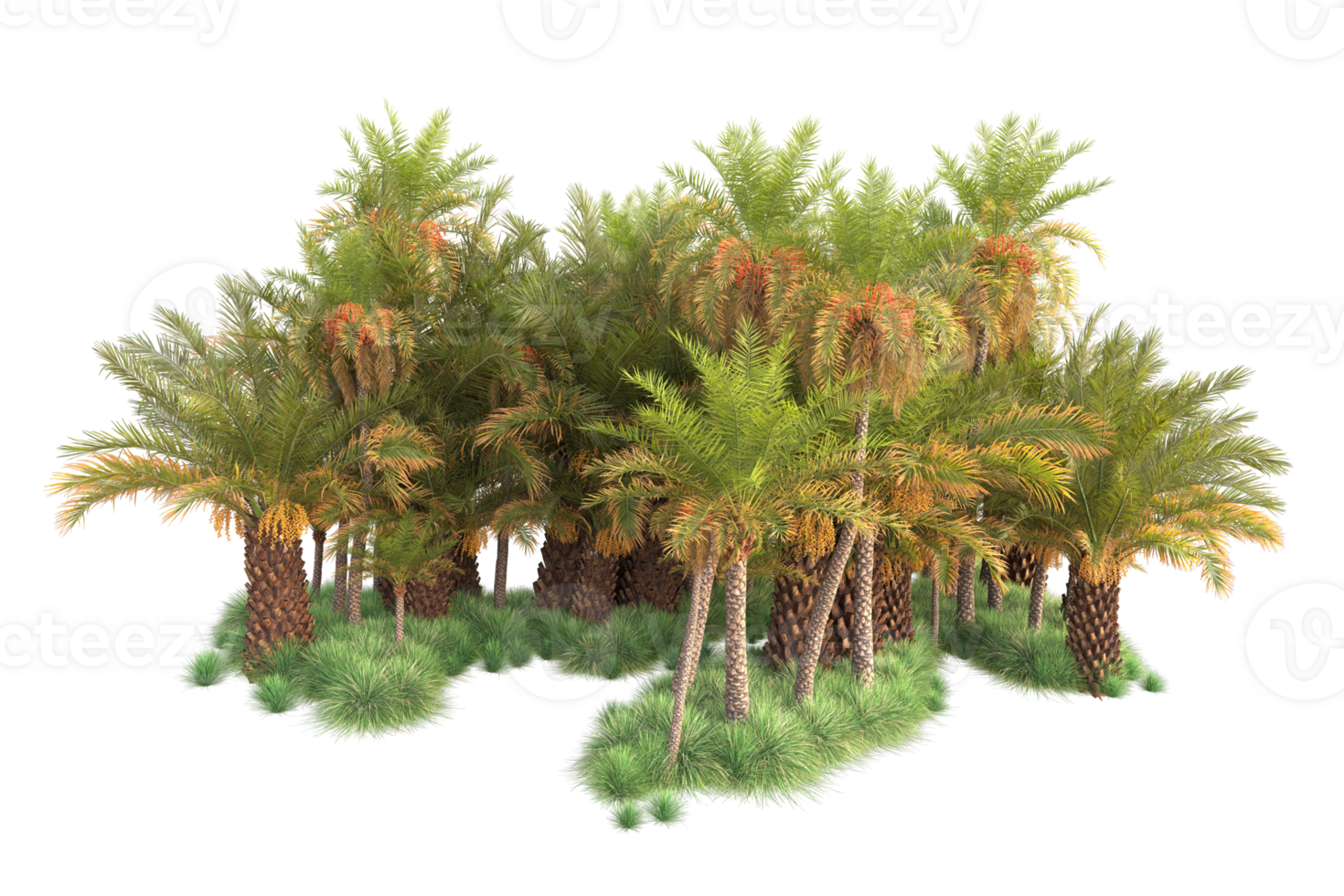 Tropical forest isolated on transparent background. 3d rendering - illustration png