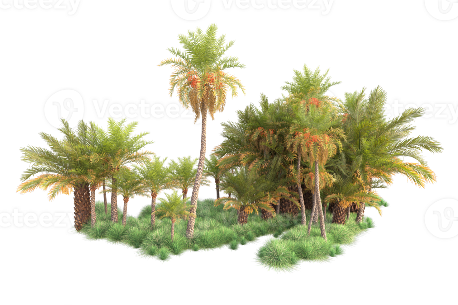 Tropical forest isolated on transparent background. 3d rendering - illustration png
