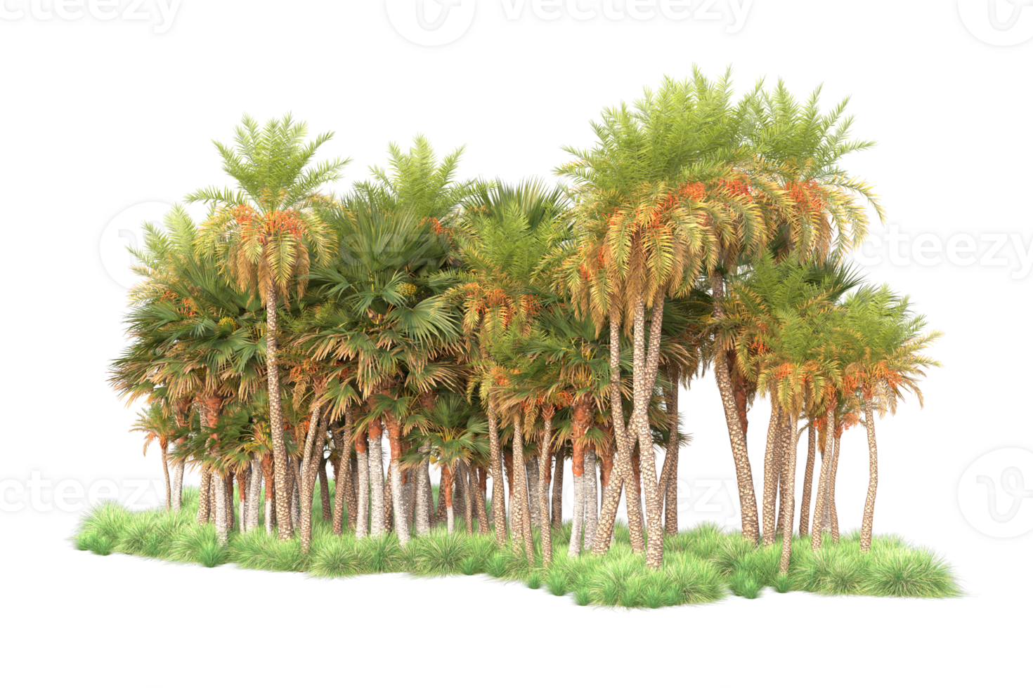 Tropical forest isolated on transparent background. 3d rendering - illustration png
