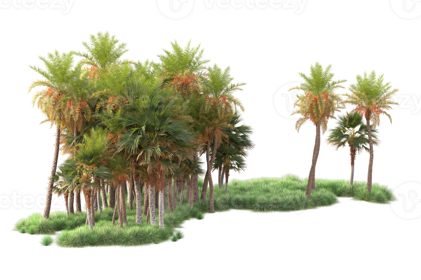 Tropical forest isolated on transparent background. 3d rendering - illustration png