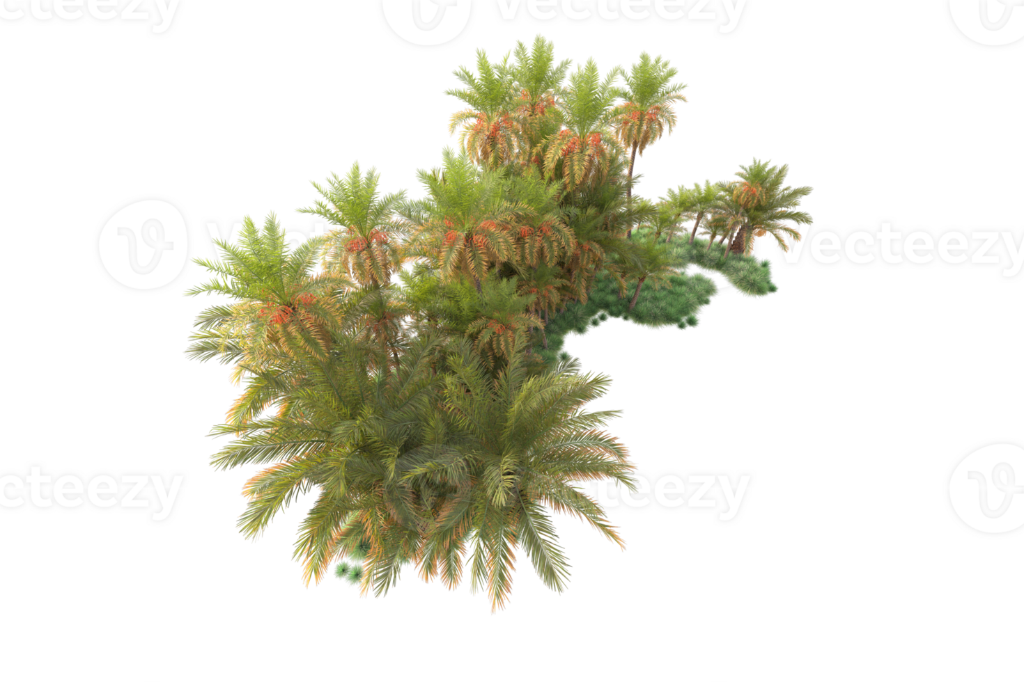 Tropical forest isolated on transparent background. 3d rendering - illustration png