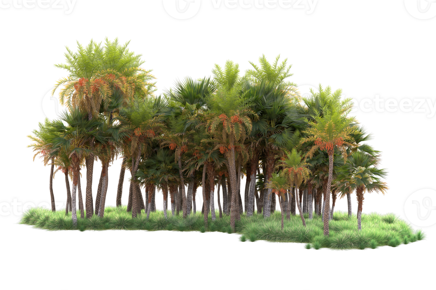 Tropical forest isolated on transparent background. 3d rendering - illustration png