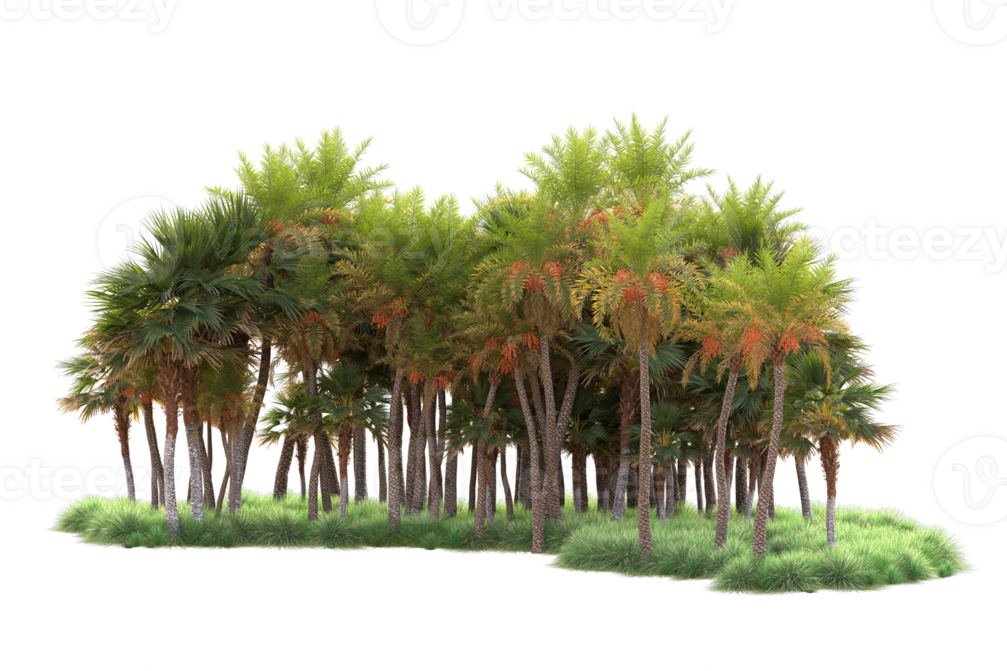 Tropical forest isolated on transparent background. 3d rendering - illustration png