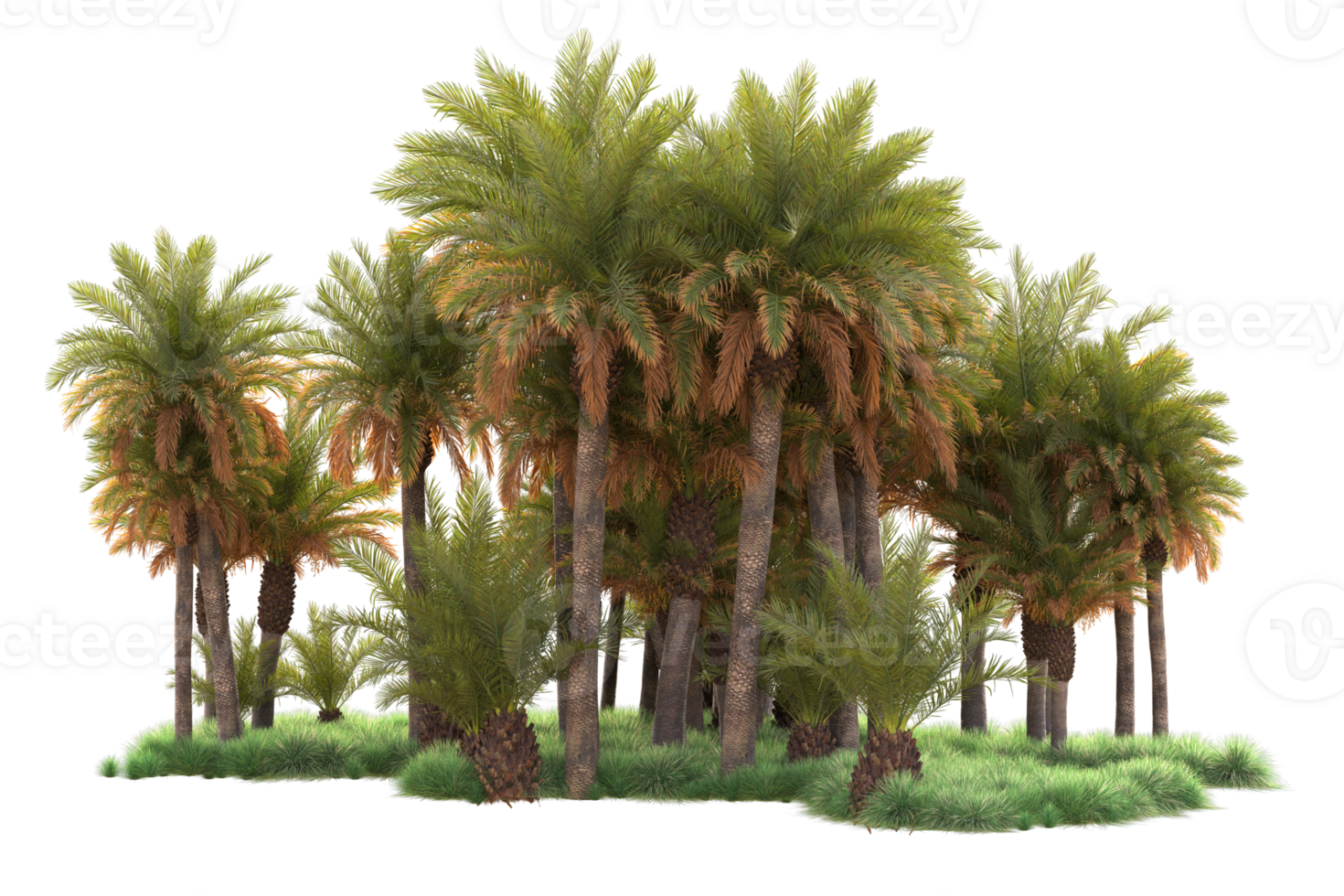 Tropical forest isolated on transparent background. 3d rendering - illustration png
