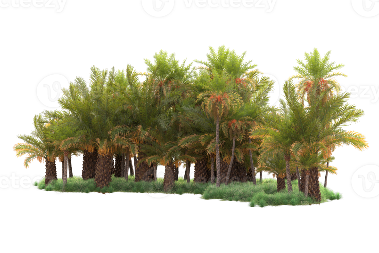 Tropical forest isolated on transparent background. 3d rendering - illustration png