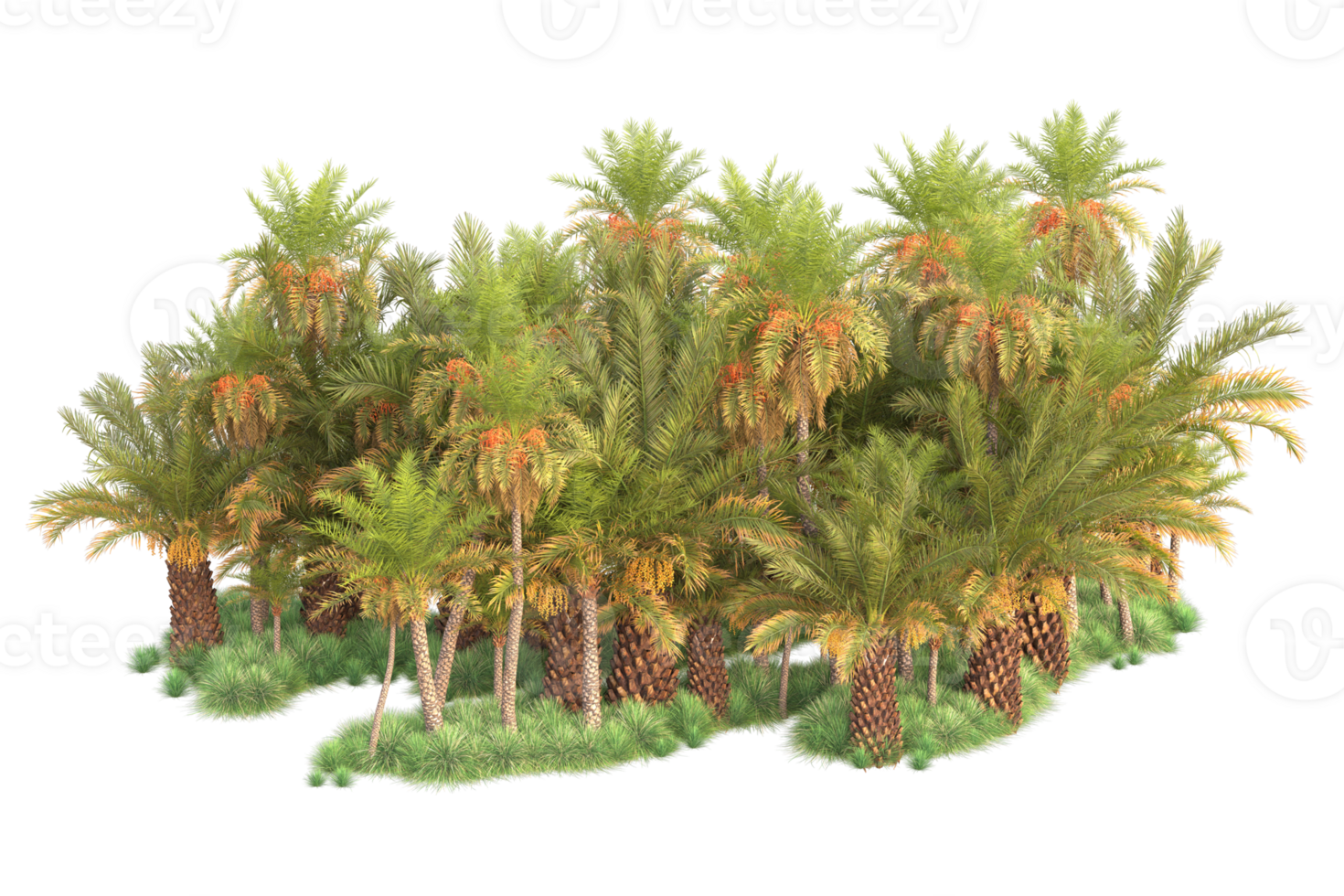 Tropical forest isolated on transparent background. 3d rendering - illustration png