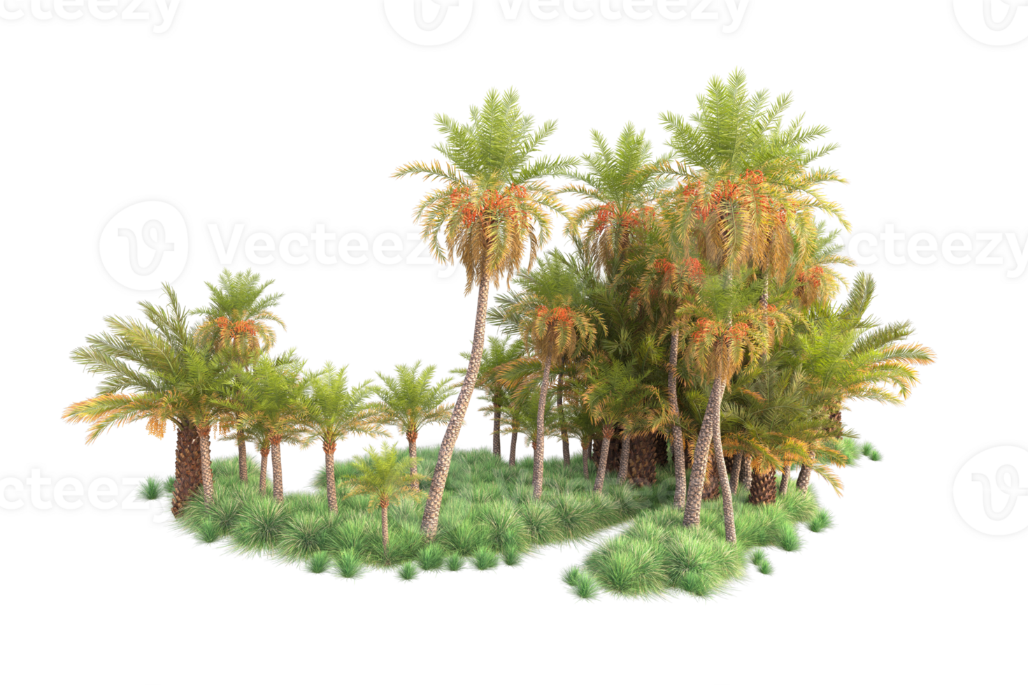 Tropical forest isolated on transparent background. 3d rendering - illustration png