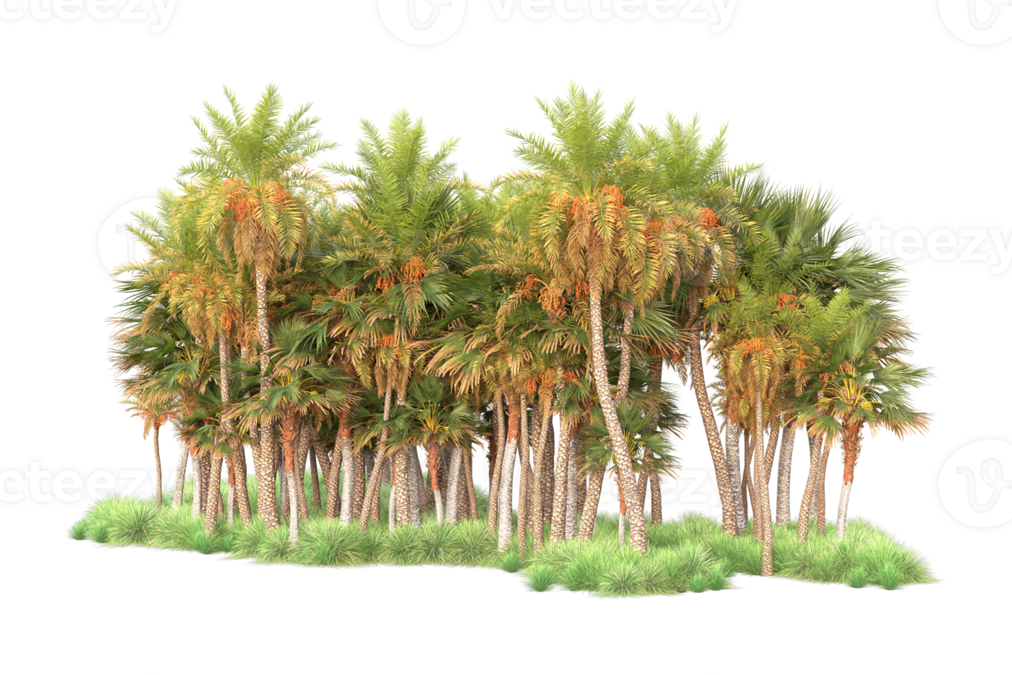 Tropical forest isolated on transparent background. 3d rendering - illustration png