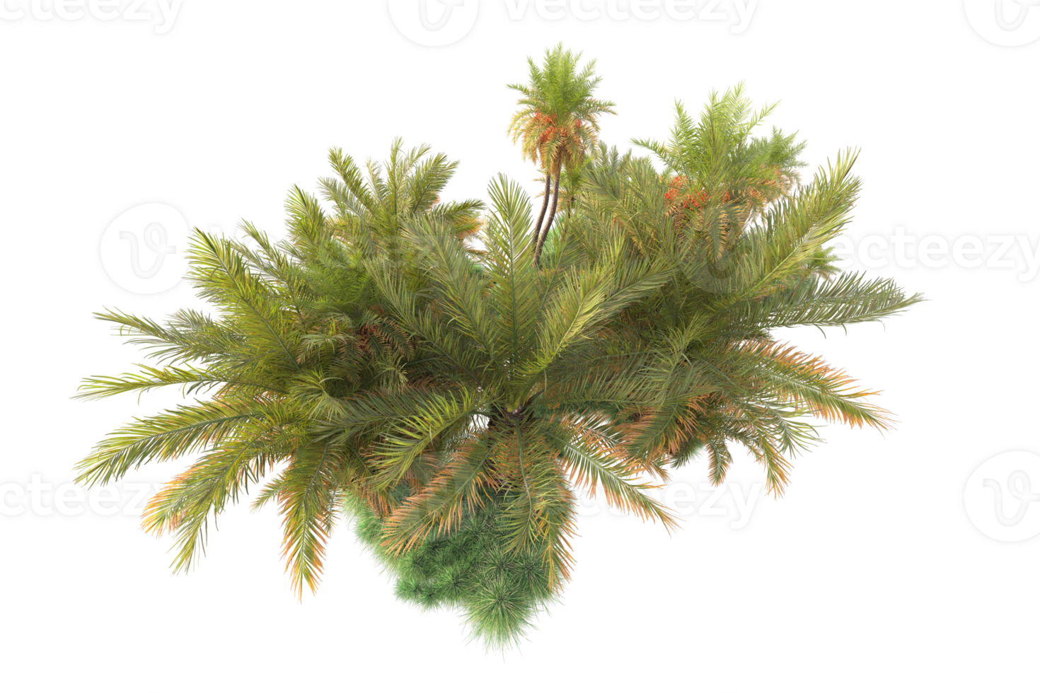 Tropical forest isolated on transparent background. 3d rendering - illustration png