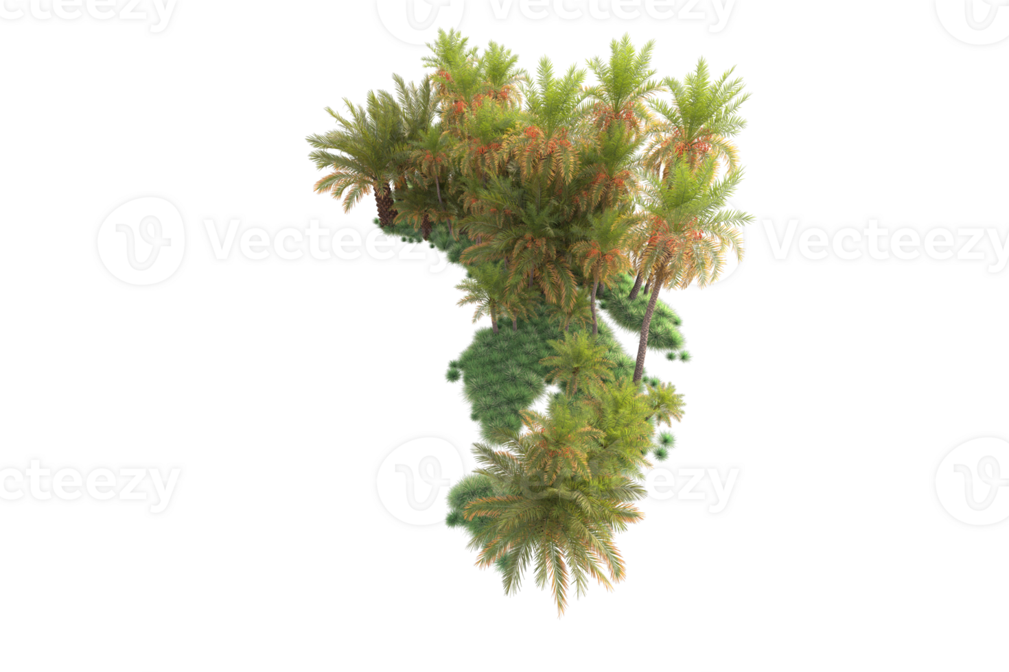 Tropical forest isolated on transparent background. 3d rendering - illustration png