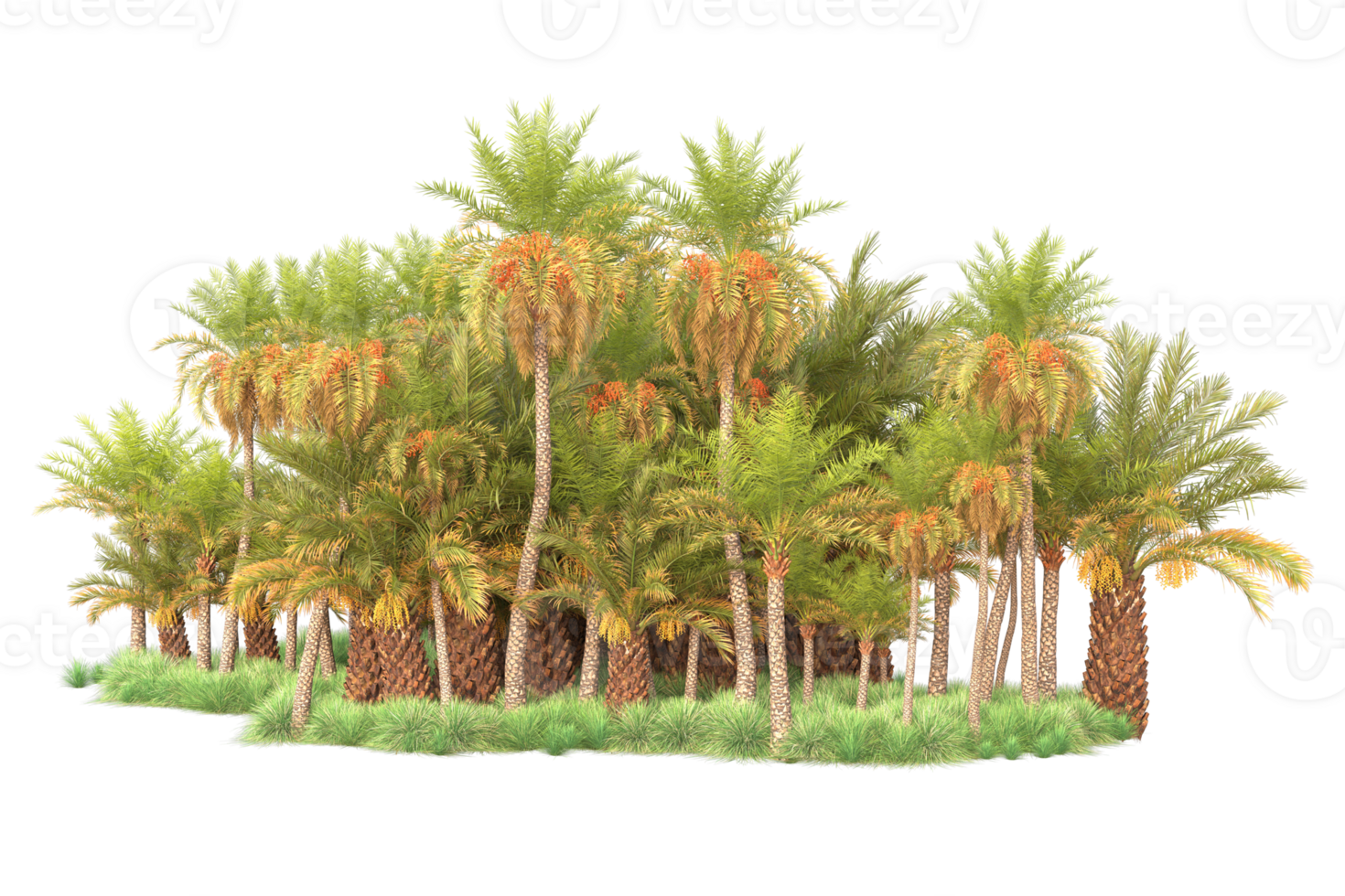 Tropical forest isolated on transparent background. 3d rendering - illustration png