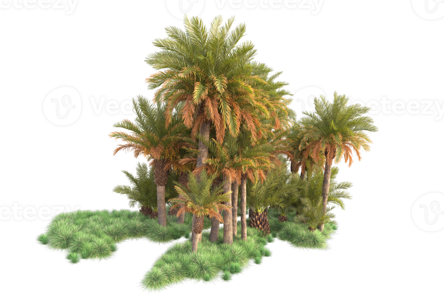 Tropical forest isolated on transparent background. 3d rendering - illustration png