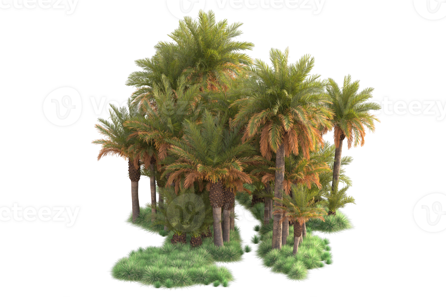 Tropical forest isolated on transparent background. 3d rendering - illustration png