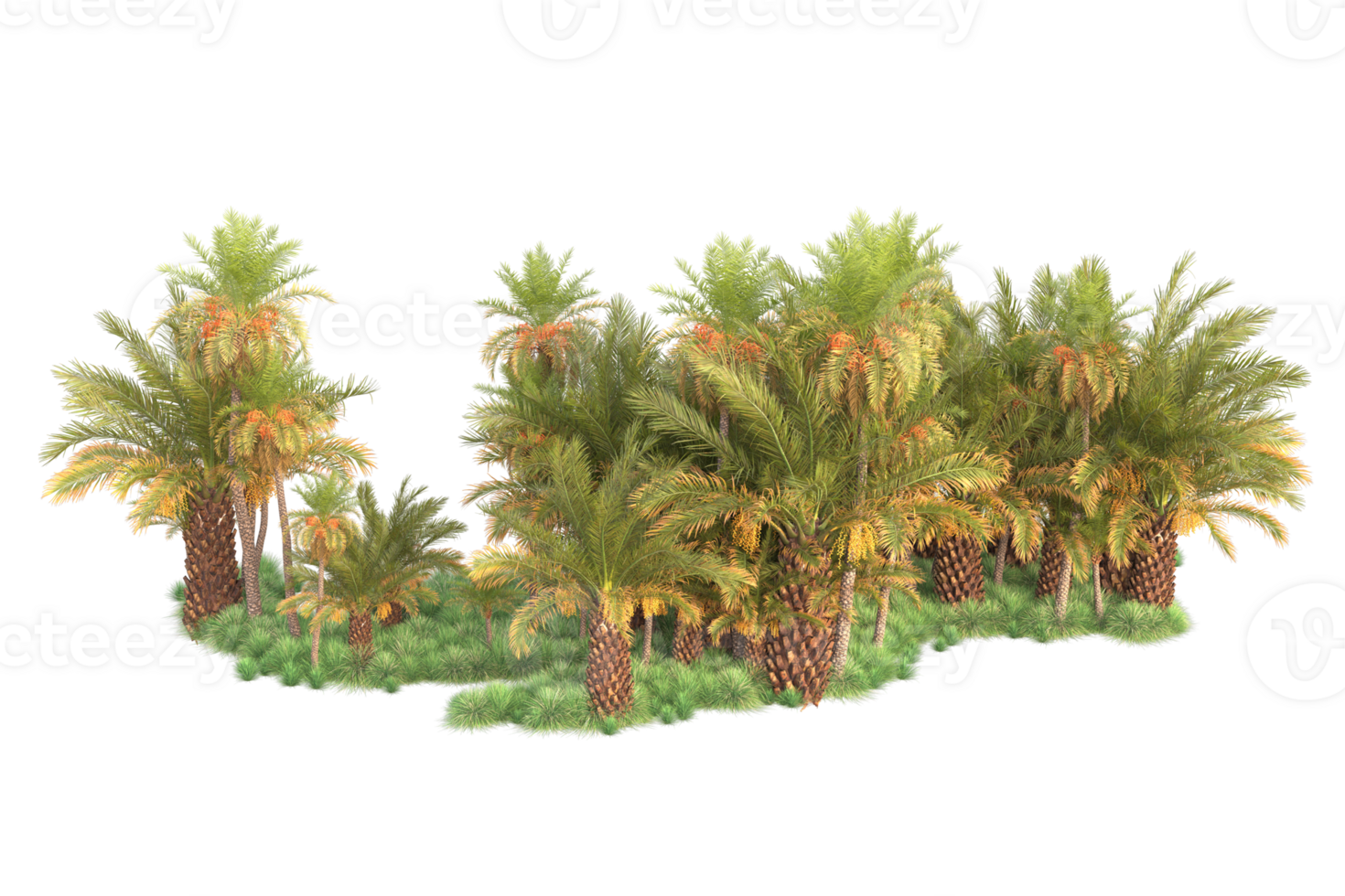 Tropical forest isolated on transparent background. 3d rendering - illustration png