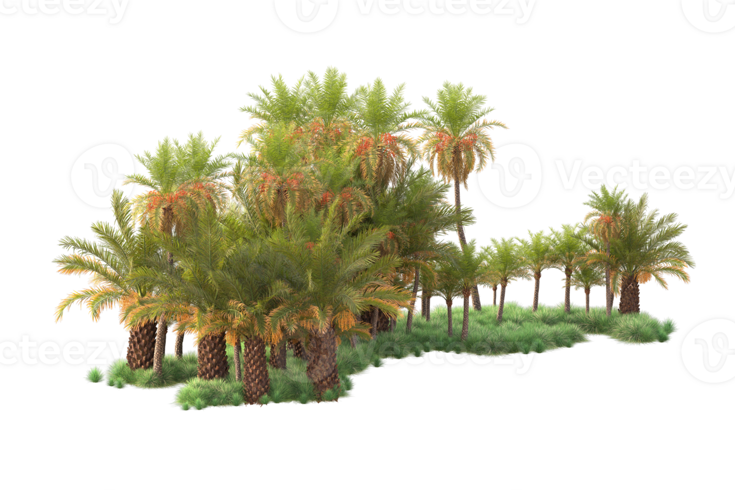Tropical forest isolated on transparent background. 3d rendering - illustration png