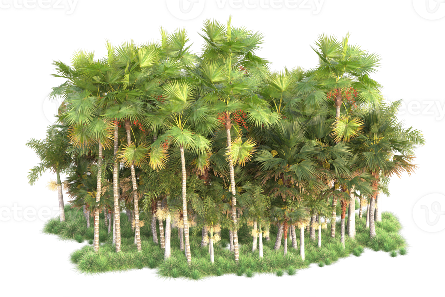 Tropical forest isolated on transparent background. 3d rendering - illustration png