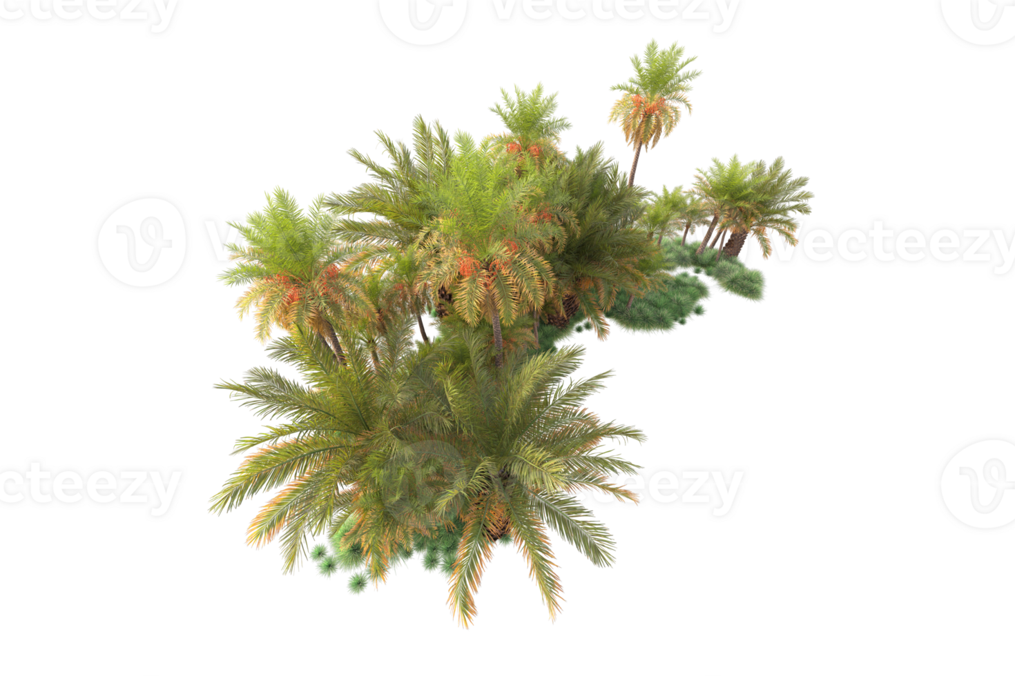Tropical forest isolated on transparent background. 3d rendering - illustration png
