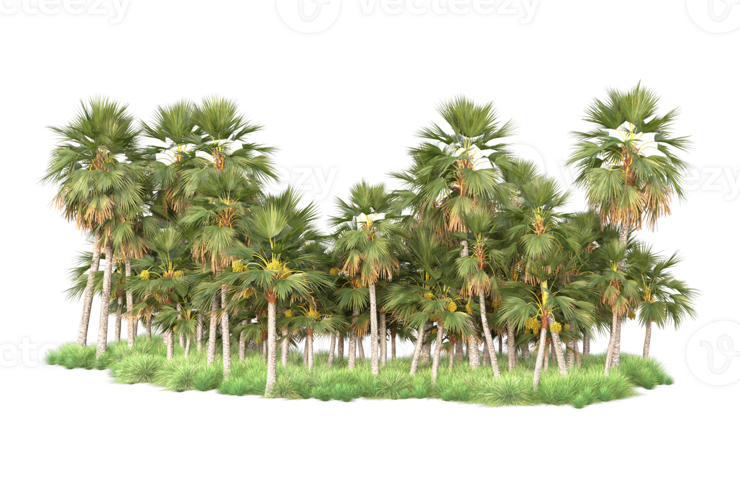 Tropical forest isolated on transparent background. 3d rendering - illustration png