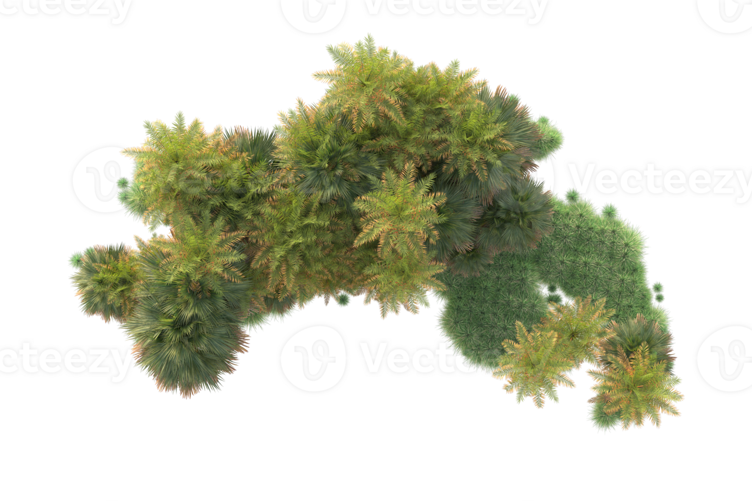 Tropical forest isolated on transparent background. 3d rendering - illustration png