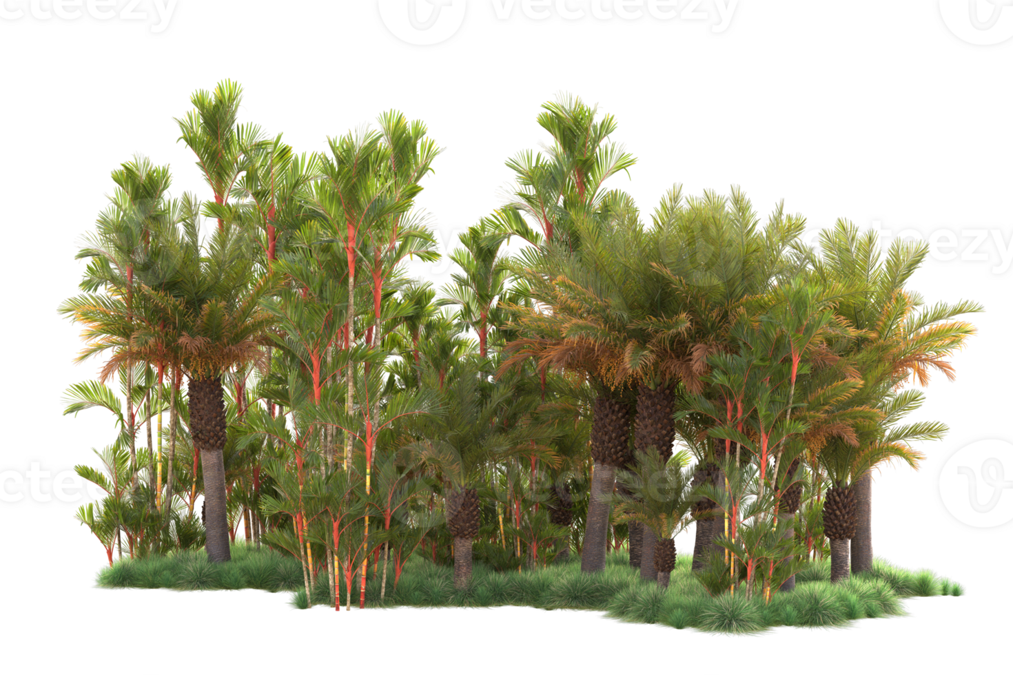 Tropical forest isolated on transparent background. 3d rendering - illustration png