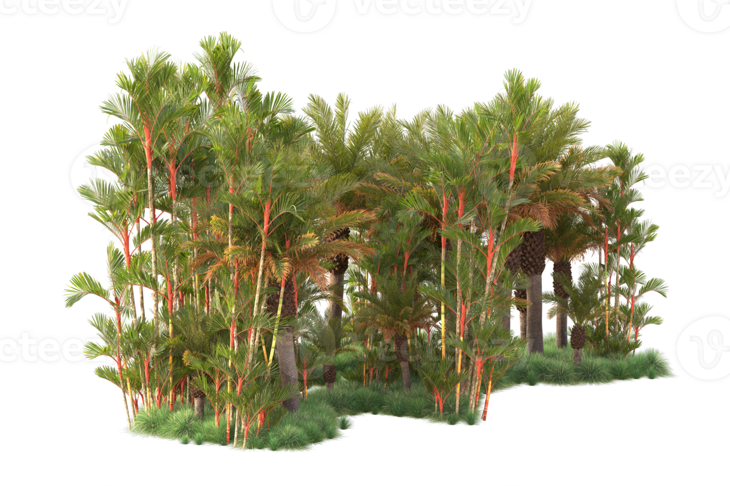 Tropical forest isolated on transparent background. 3d rendering - illustration png