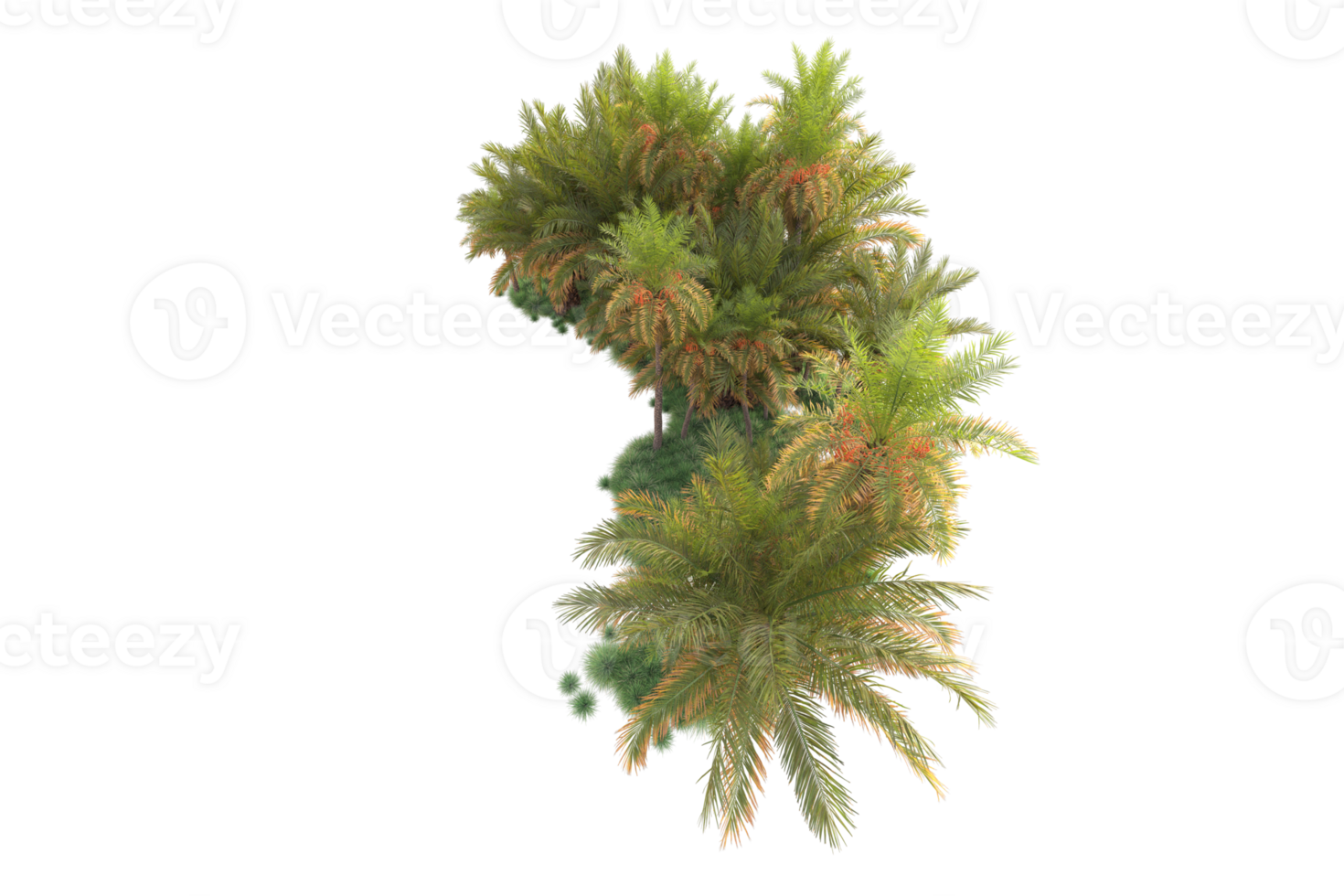 Tropical forest isolated on transparent background. 3d rendering - illustration png