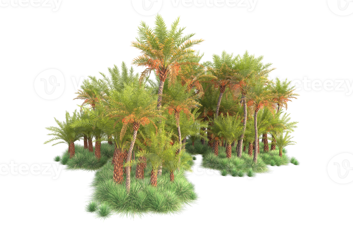 Tropical forest isolated on transparent background. 3d rendering - illustration png