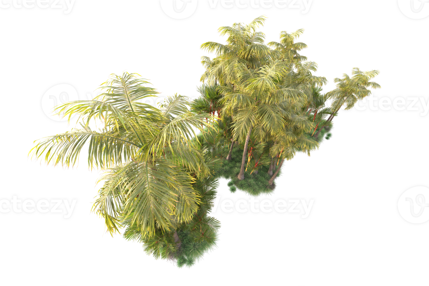 Tropical forest isolated on transparent background. 3d rendering - illustration png